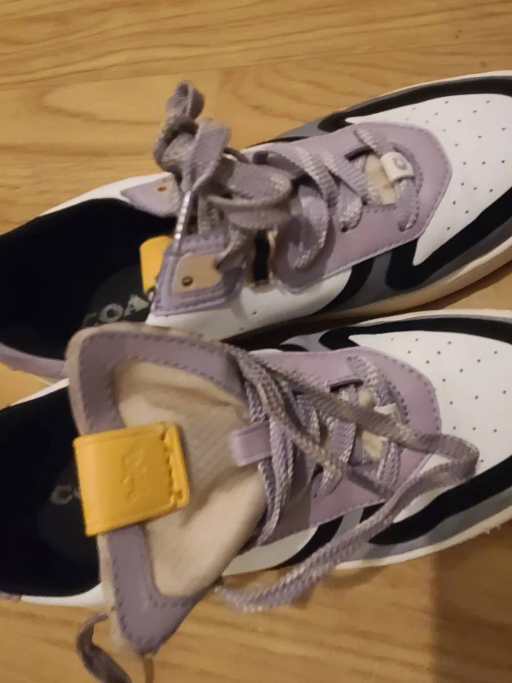 Coach Men's Lavender, Gray & Black Low-Top Sneaker